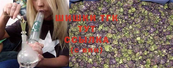 сатива Володарск