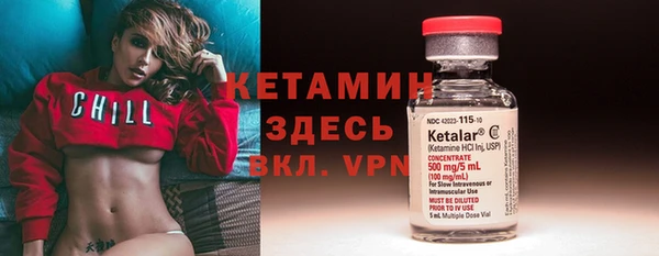 сатива Володарск