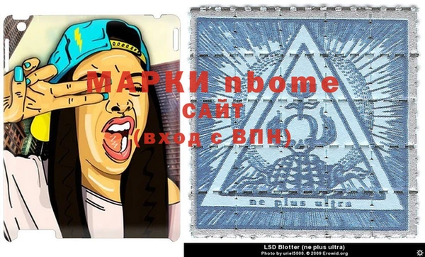 сатива Володарск