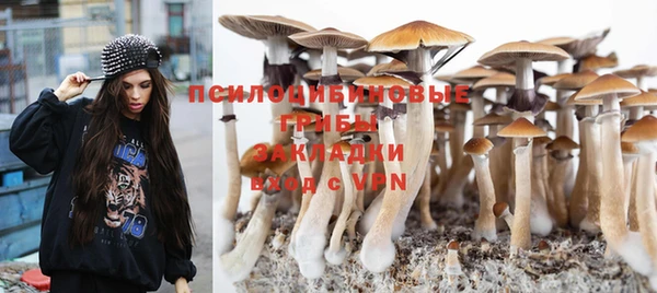сатива Володарск