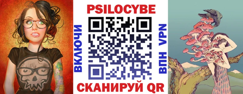 Псилоцибиновые грибы Psilocybe  Новомосковск 